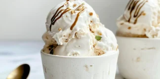 Sugar Free Ice Cream Recipe: 10 Delicious Flavors to Try Today Sugar Free Ice Cream Recipe